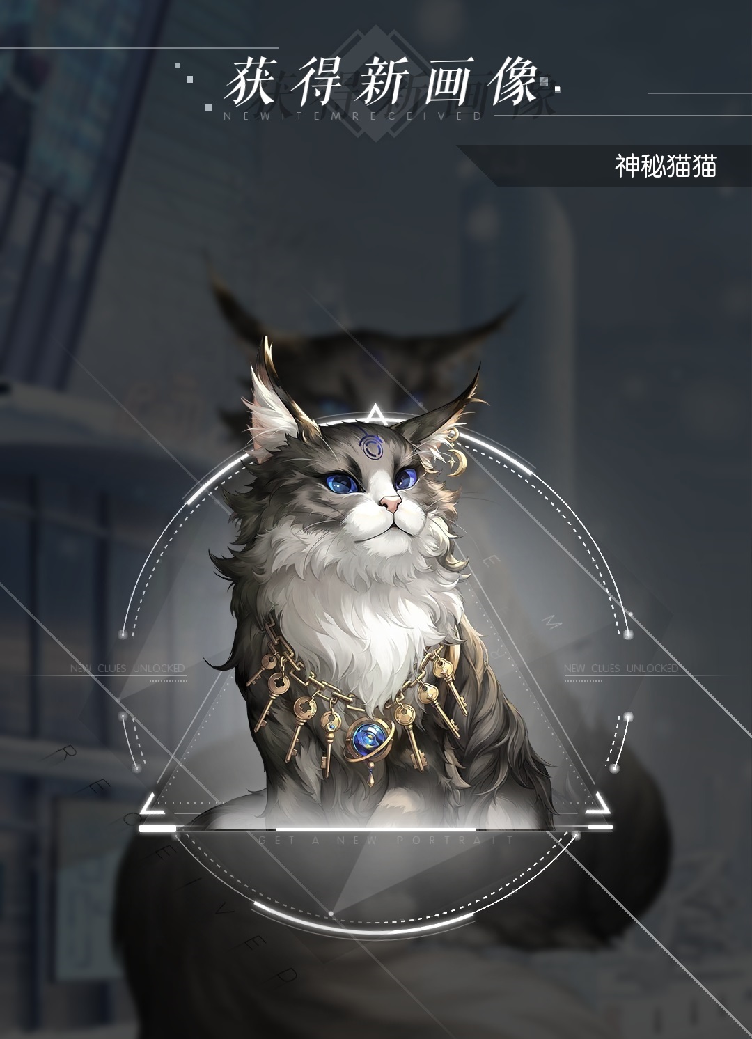 神秘猫猫-画像